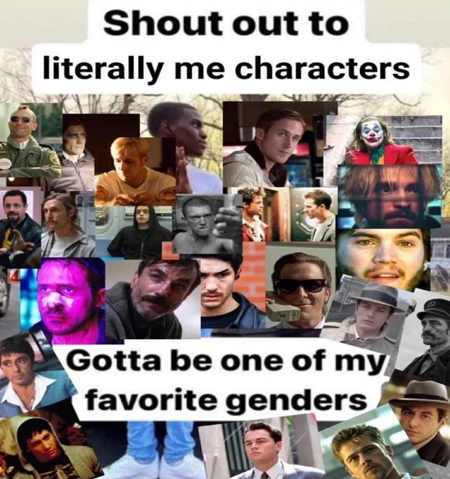 Literal Me Characters — A collage grid compilation of various character screenshots with overlay text celebrating 'literally me characters' as a favorite