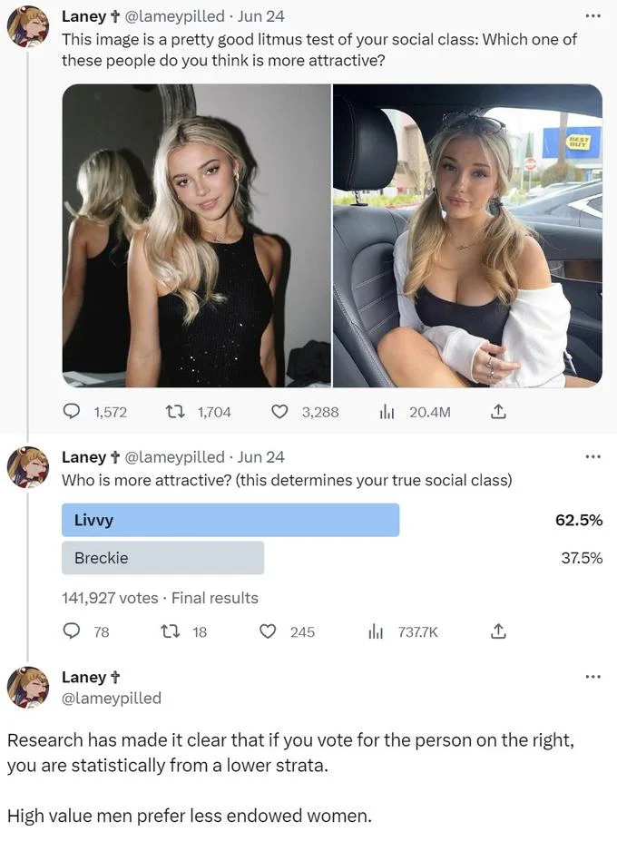 Litmus Test For Social Class — Twitter thread by @lameypilled with litmus test image, poll results showing Livvy at 62.5% vs Breckie at 37.5%, and commentary