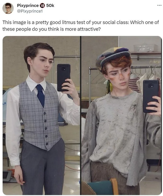 Litmus Test For Social Class — Tweet by Pixyprince (@Pixyprince1) using litmus test format with two mirror selfies in theatrical costumes.