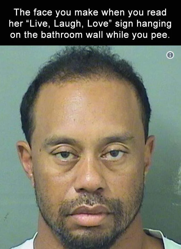 Live Laugh Love — A reaction meme with text about reading a 'Live, Laugh, Love' sign in a bathroom while using it, paired with a stern mugshot photograph.