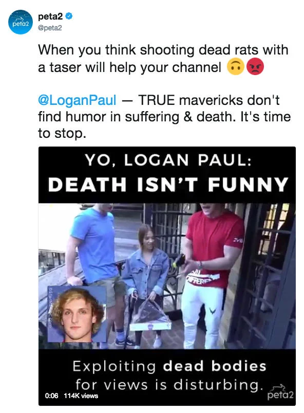 Logan Paul Tasering Dead Rat — peta2 peta2 @peta2 When you think shooting dead rats with a taser will help your channel f @LoganPaul TRUE mavericks don't find
