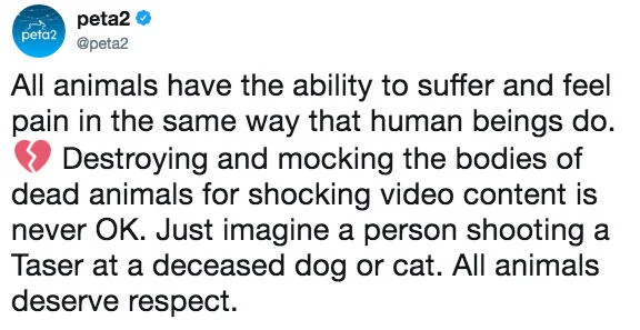 Logan Paul Tasering Dead Rat — peta2 @peta2 peta2 All animals have the ability to suffer and feel pain in the same way that human beings do. Destroying and