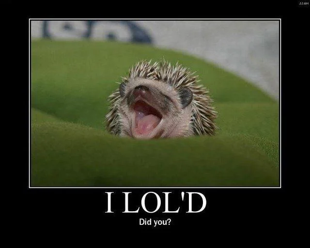 Demotivational poster of a laughing hedgehog captioned I LOL'D Did you