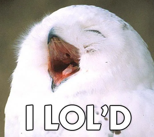 White owl with beak open laughing captioned I LOL'D