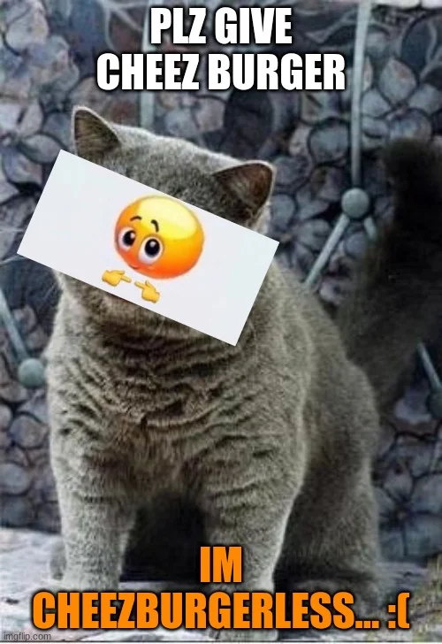 LOLcats / I Can Has Cheezburger — Gray tabby cat against a pebbled background with determined expression and white text 'PLZ GIVE CHEEZ BURGER' and 'IM