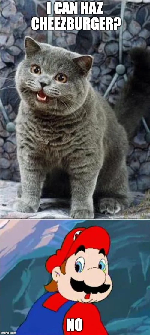 LOLcats / I Can Has Cheezburger — Two-panel meme with a gray tabby cat asking 'I CAN HAZ CHEEZBURGER?' in the top panel, and Mario responding 'NO' in red text