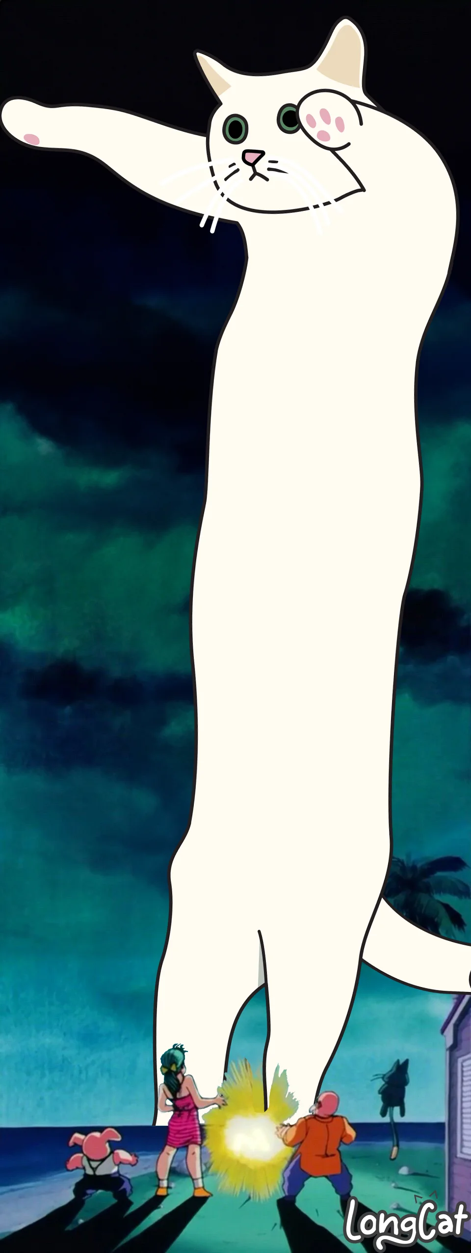 Longcat