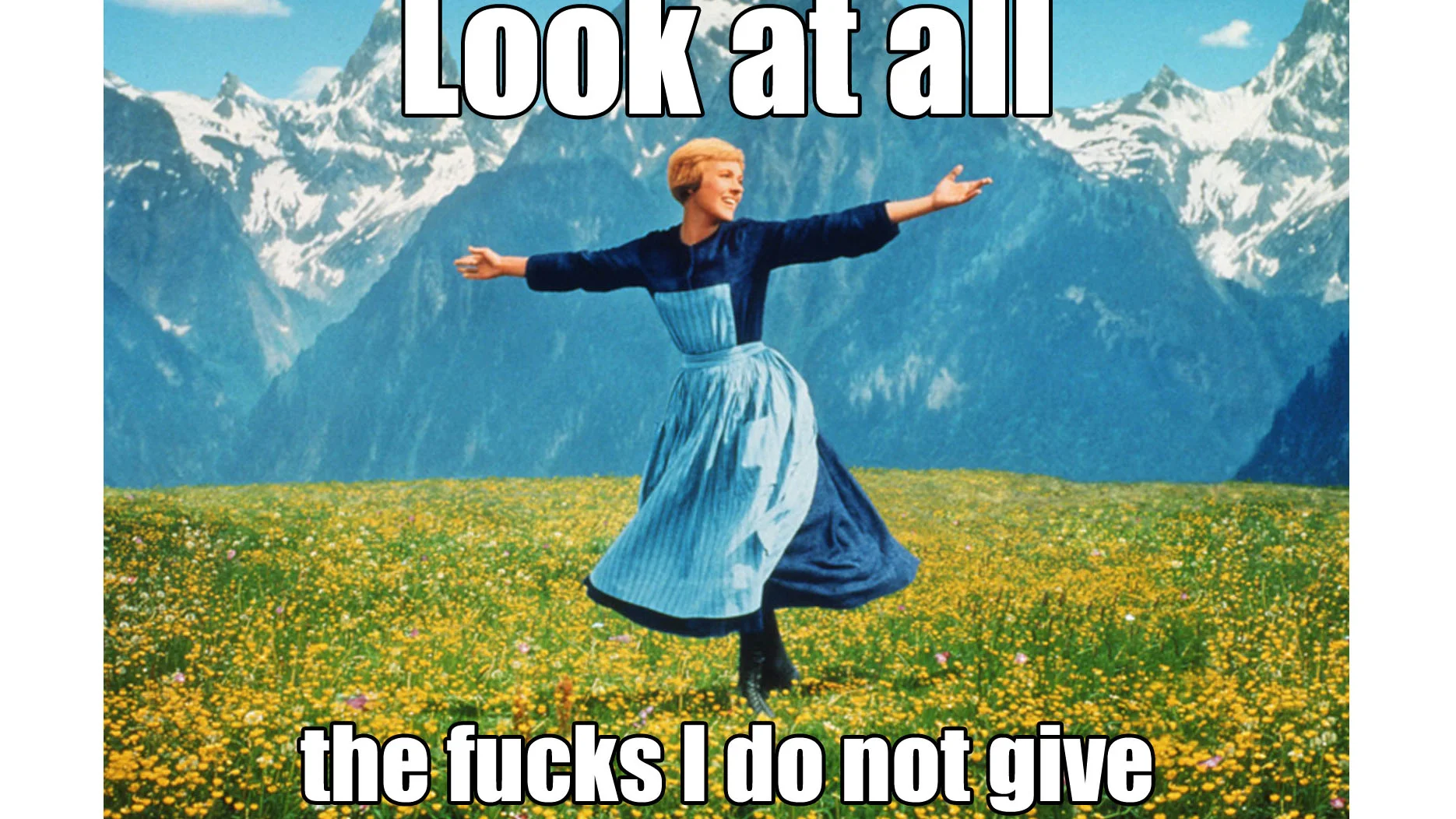 Look At All The Fucks I Give — Julie Andrews spinning in an alpine meadow with the caption 'Look at all the fucks I do not give'