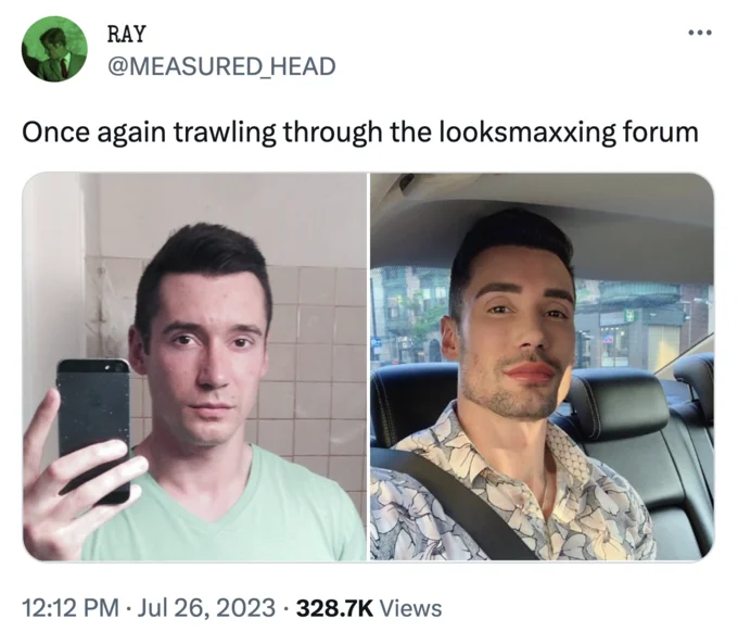 Looksmaxxing — A photo showing a person wearing a bright safety vest near a car.
