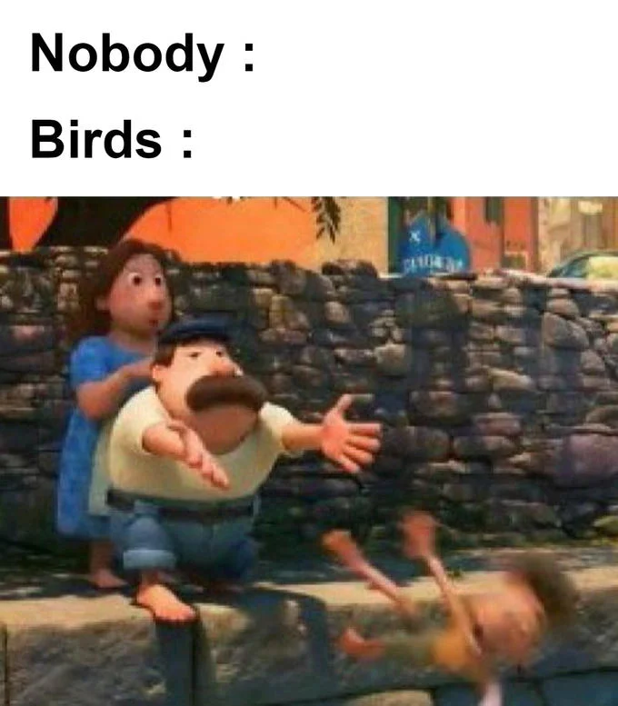 Nobody / Birds meme using Lorenzo pushing child from Luca