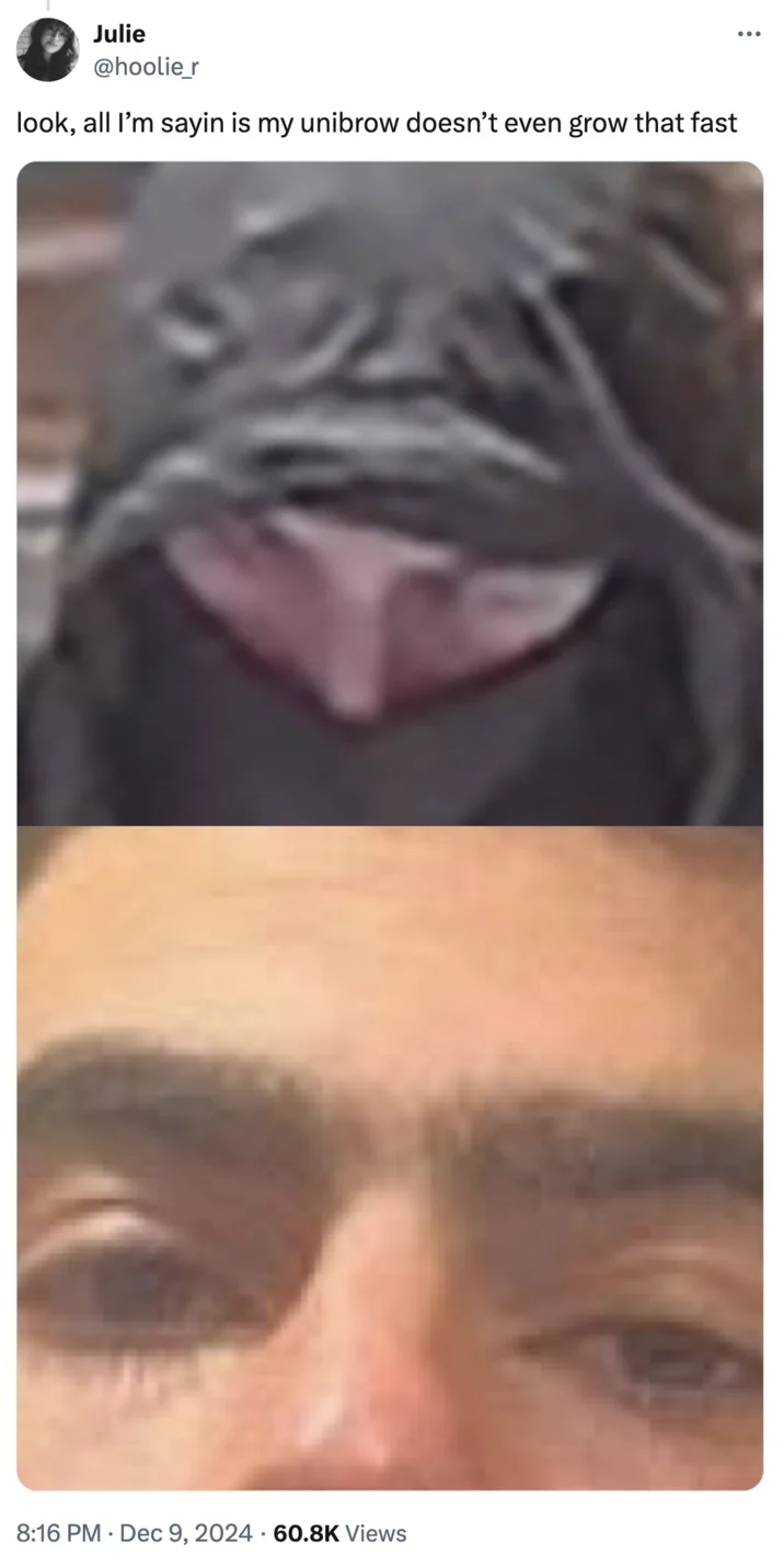 Luigi Mangione Is Not The Shooter Conspiracy Theory — Twitter post comparing unibrow growth between suspect and Mangione