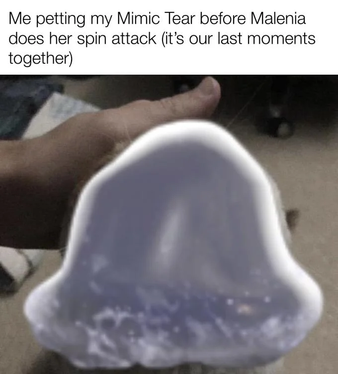 Malenia Blade Of Miquella — Elden Ring meme joking about petting a Mimic Tear summon before Malenia's spin attack, paired with jellyfish reaction image.