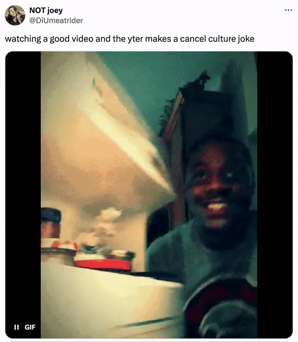 Man Disappointed by Fridge — Tweet by @DiUmeatrider using the man-at-fridge GIF to react to a YouTuber making a cancel culture joke.