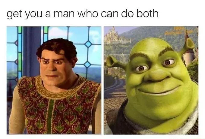 Get You a Man Who Can Do Both — An animated Shrek variation showing character contrasts while maintaining the dual-nature meme premise.