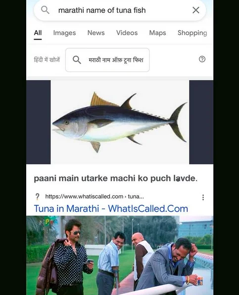 Mobile Google search result for marathi name of tuna fish showing the viral phrase