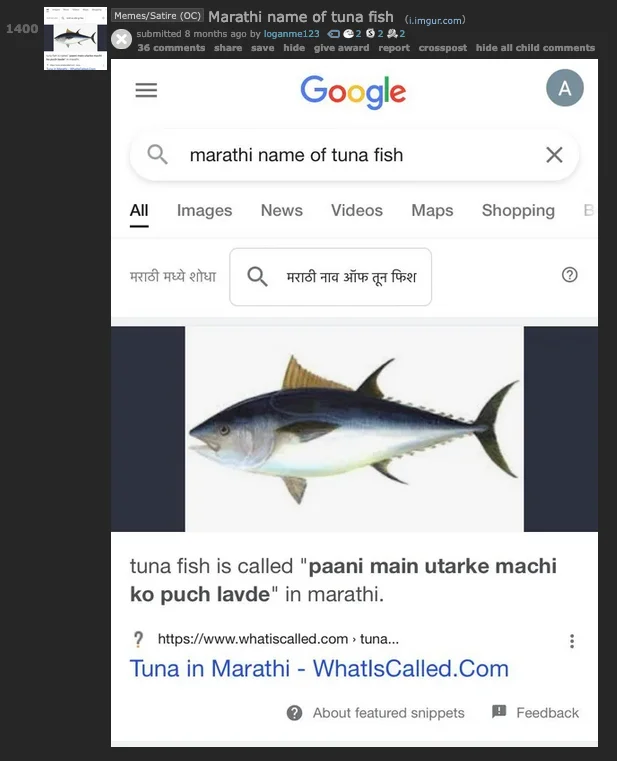 Reddit r/Memes post showing the viral Google search result for marathi name of tuna fish