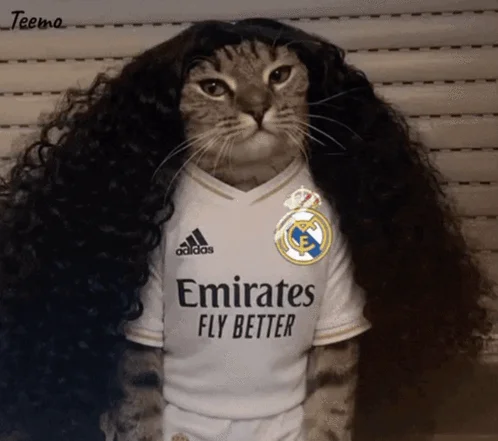Marc Cucurella Cat