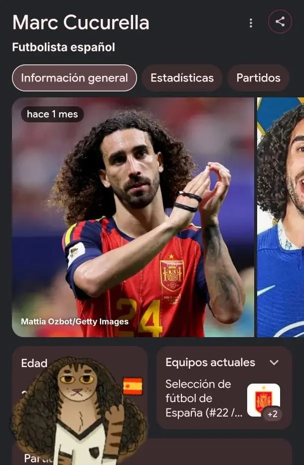 Marc Cucurella Cat