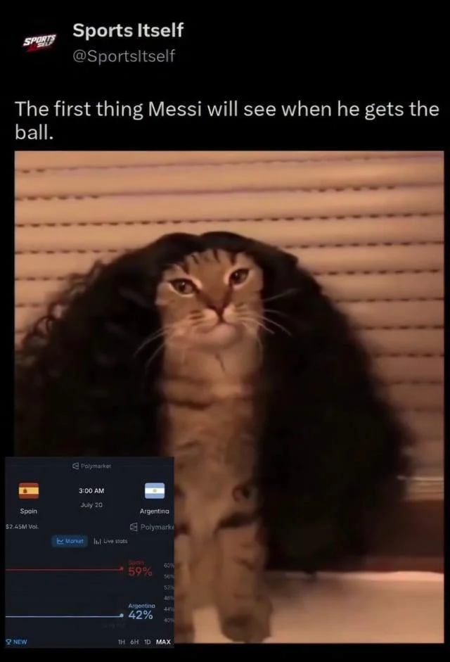 Marc Cucurella Cat