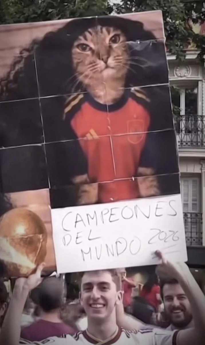 Marc Cucurella Cat
