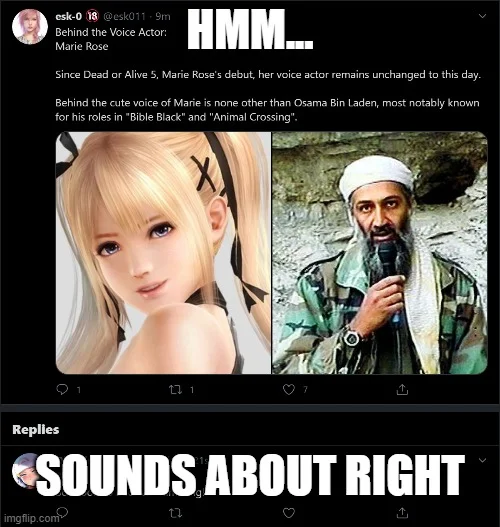 A Twitter screenshot using Marie Rose from Dead or Alive in a comparison meme format with 'Hmm...' and 'Sounds About Right' reaction text.