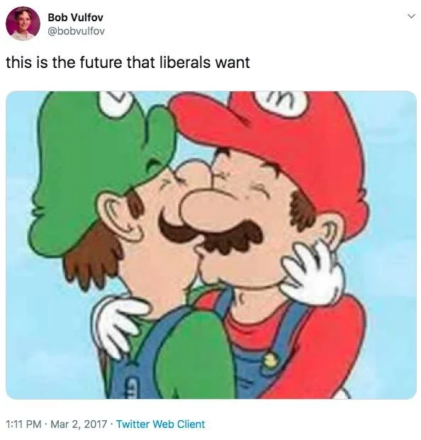 Bob Vulfov tweet with Mario and Luigi kissing image captioned 'this is the future that liberals want'
