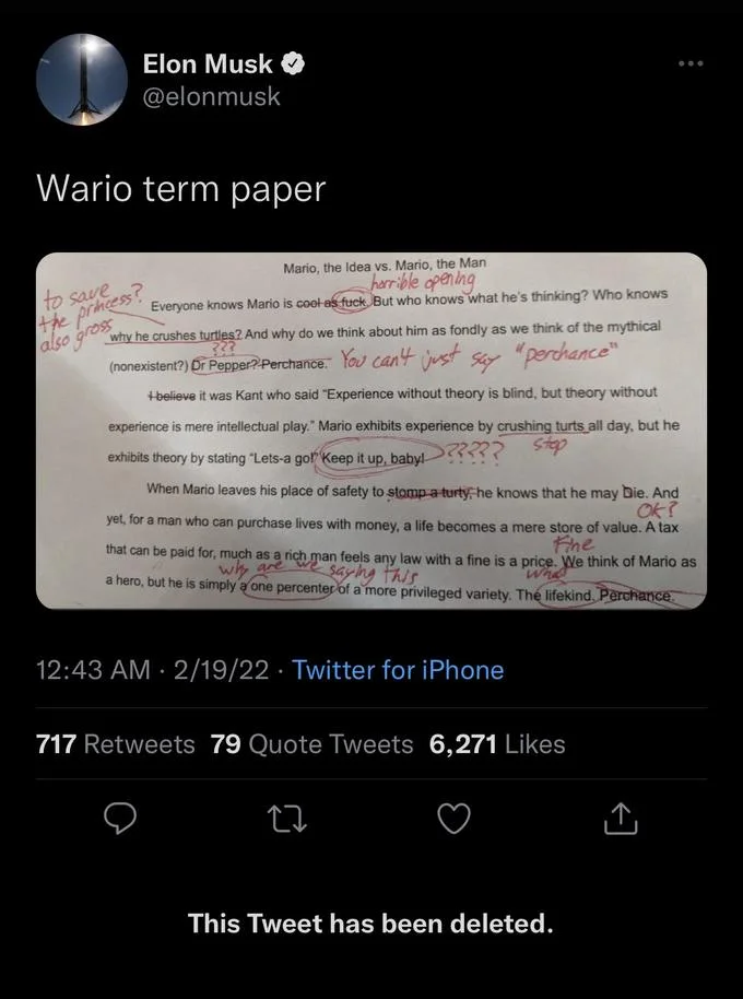 Mario The Idea Vs Mario The Man — A Twitter screenshot dated February 19, 2022 from Elon Musk with text 'Wario term paper' showing the essay image.