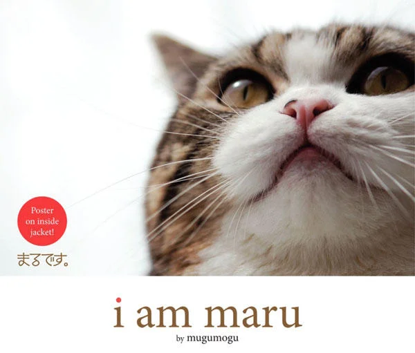 Maru the Cat — Cover of the 'I Am Maru' book by mugumogu featuring a close-up of Maru's face