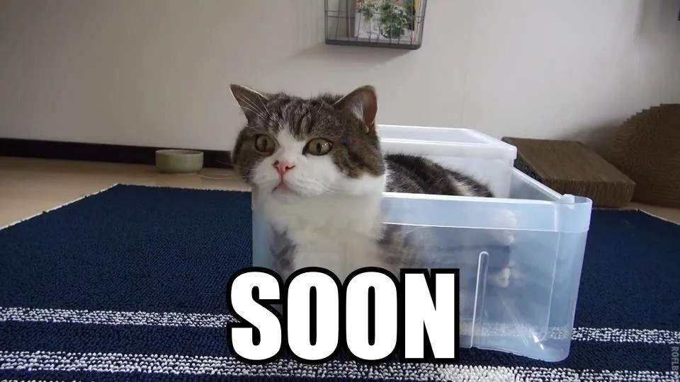 Maru the Cat — Maru sitting inside a clear plastic bin with 'SOON' meme text overlaid