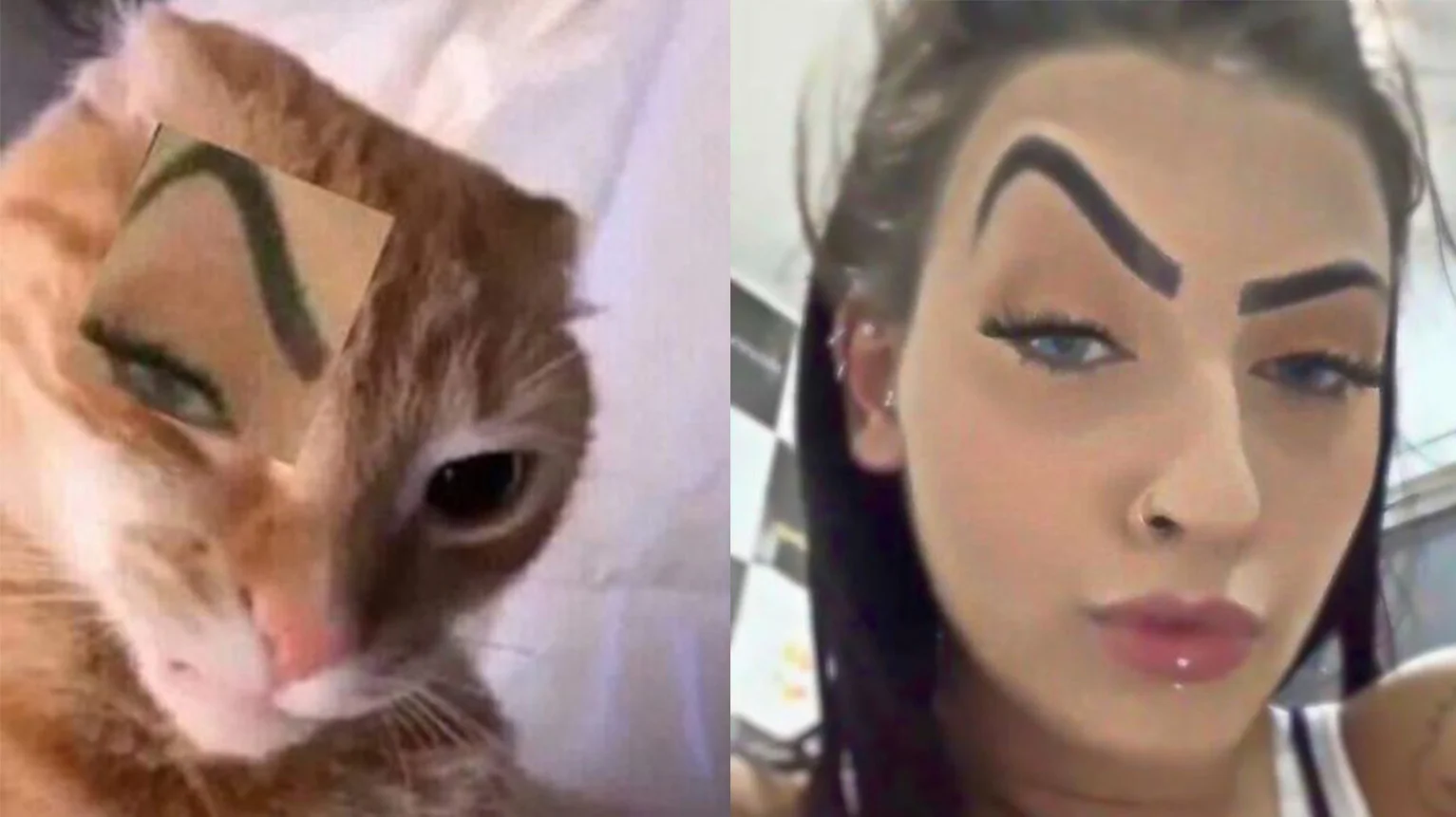 Mc Mirella Sobrancelha — Side-by-side of a cat with MC Mirella's eyebrow edited on and the original MC Mirella selfie.