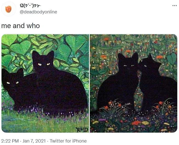 Twitter screenshot showing Me and Who? meme applied to adorable black cats in natural settings with side-by-side comparison.