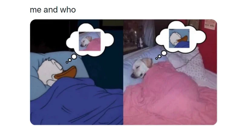 Me And Who — Meme template illustration showing character in bed with thought bubbles depicting different romantic couple scenarios.