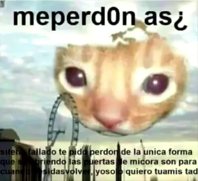 Me Perdonas — Giant kitten meme with Spanish apology text at the bottom