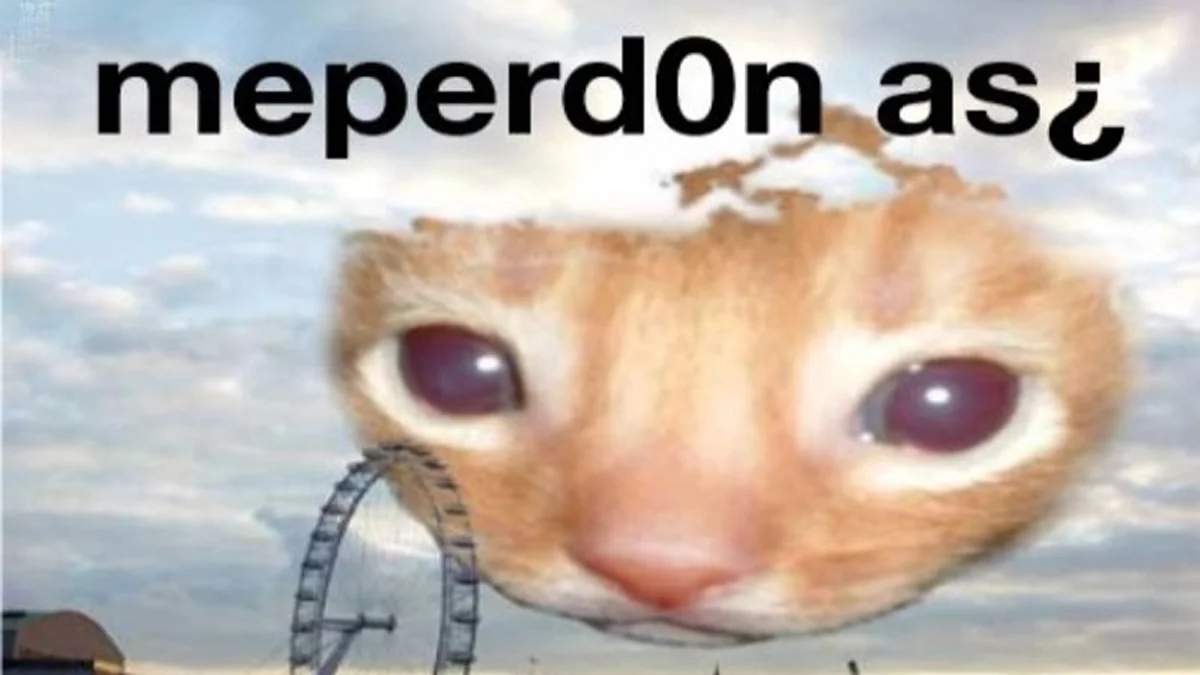 Me Perdonas — Giant ginger kitten head floating over London skyline with 'meperd0n as¿' text
