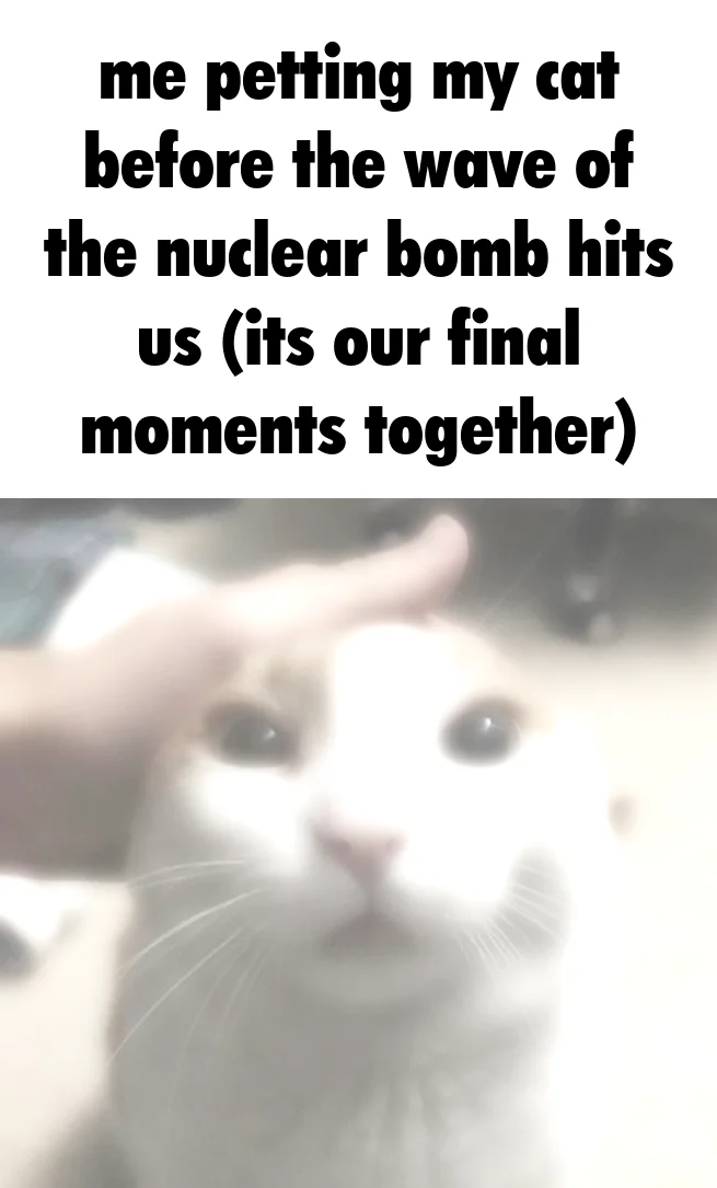 Me Petting My Cat Before the Nuclear Blast — Blurry white cat being petted with caption about final moments before a nuclear bomb hits