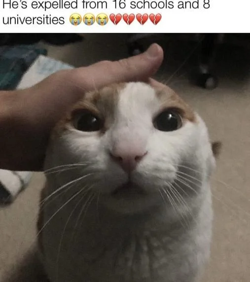 Me Petting My Cat Before the Nuclear Blast — Petted cat photo captioned about being expelled from 16 schools and 8 universities