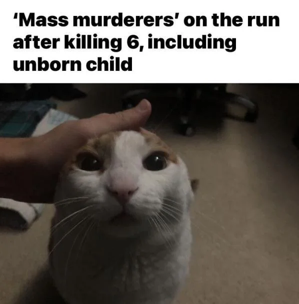 Me Petting My Cat Before the Nuclear Blast — Petted cat photo captioned with a mass murderers headline