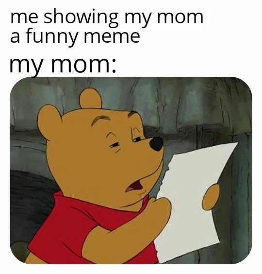 Meme captioned 'me showing my mom a funny meme, my mom:' with Winnie the Pooh reading a paper unimpressed