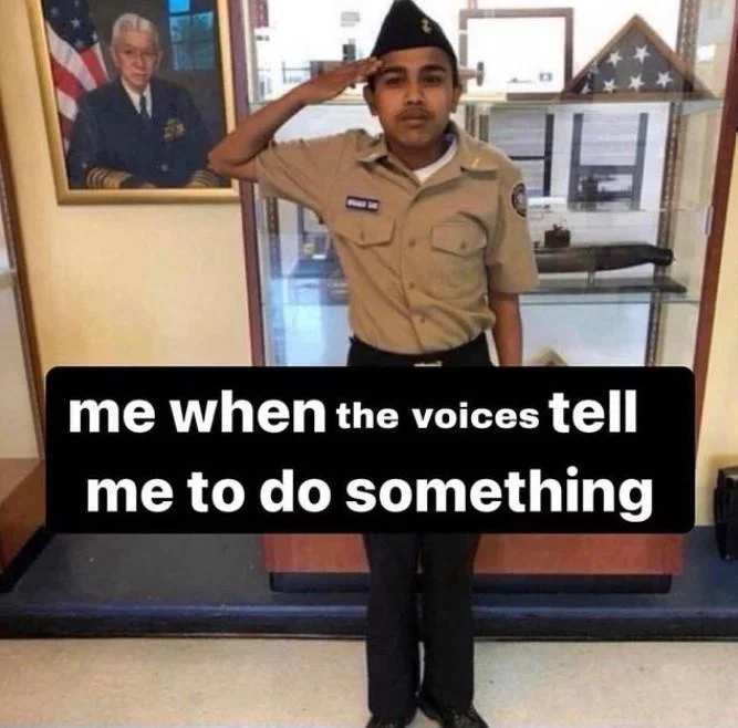 Me When X Tell Me to Do Something — Saluting cadet image captioned 'me when the voices tell me to do something'.