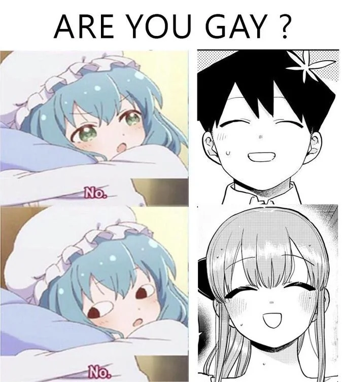 Meis No — Four-panel meme asking 'ARE YOU GAY?' with Mei's doubled 'No.' responses and contrasting anime character reactions.