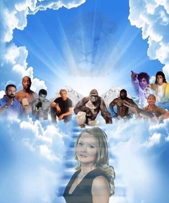 Meme Heaven template with an inflatable turtle and Doritos-bag person