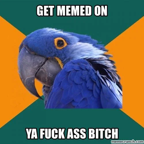 Memeing — Paranoid Parrot meme captioned 'Get memed on ya fuck ass bitch'