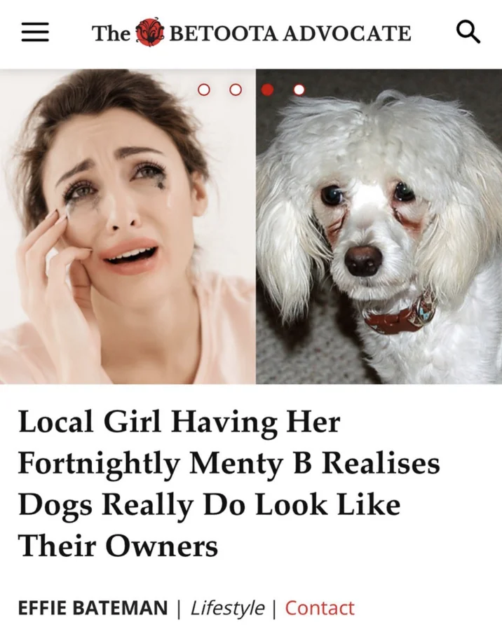 Betoota Advocate satirical news article with headline mentioning 'Fortnightly Menty B' paired with dog and human comparison imagery.
