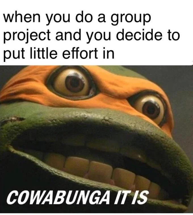 Michelangelo Open-Mouthed Stare Reaction — Michelangelo Cowabunga It Is meme about slacking on a group project