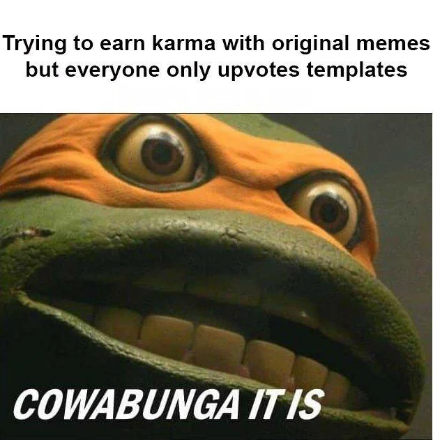 Michelangelo Open-Mouthed Stare Reaction — Michelangelo Cowabunga It Is meme about Reddit karma and template memes