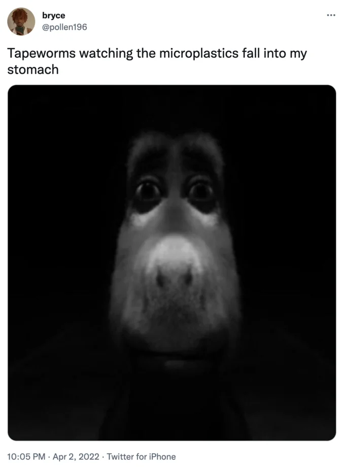 Tweet by @pollen196 with dark staring dog face captioned 'Tapeworms watching the microplastics fall into my stomach'