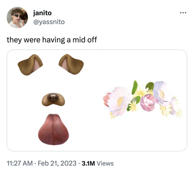 Abstract Twitter meme 'they were having a mid off' with flowers and body parts
