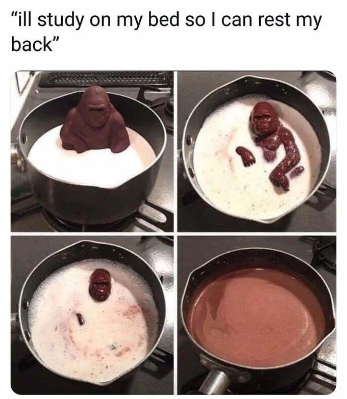 Milk Ape Chocolate Gorilla Melting — Melting chocolate gorilla meme captioned about studying in bed to rest one's back.