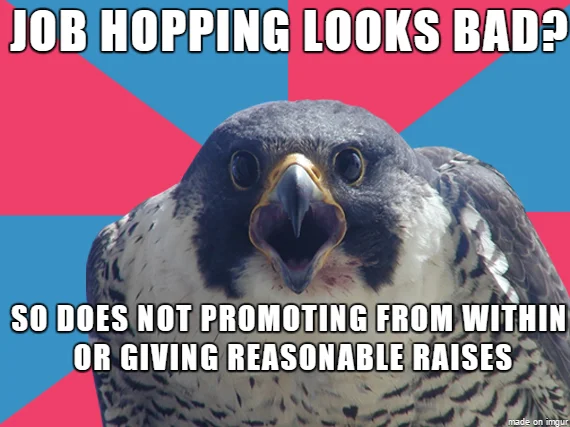 Blank Millennial Falcon meme template with squawking falcon on pinwheel background