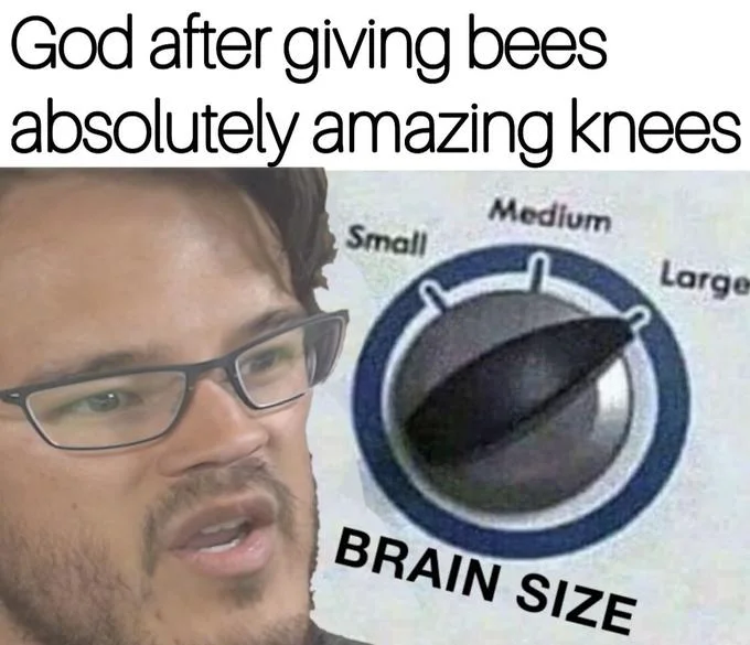 Mind Size Brain Size — Markiplier variant of the Brain Size meme joking about God giving bees amazing knees